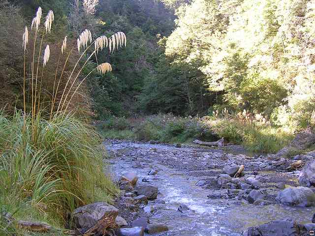 NZ leden-unor 2006 221.jpg